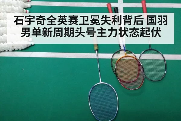 badminton match court