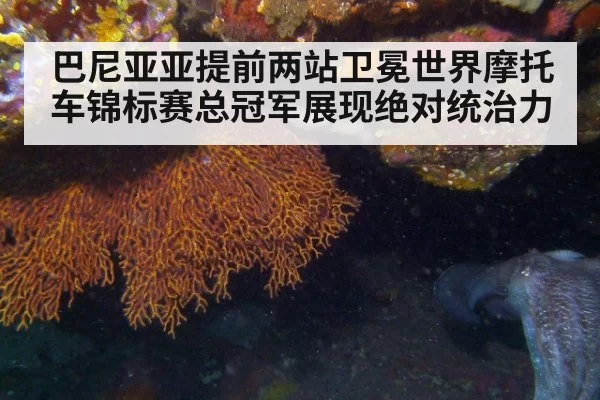 巴尼亚亚提前两站卫冕世界摩托车锦标赛总冠军展现绝对统治力
